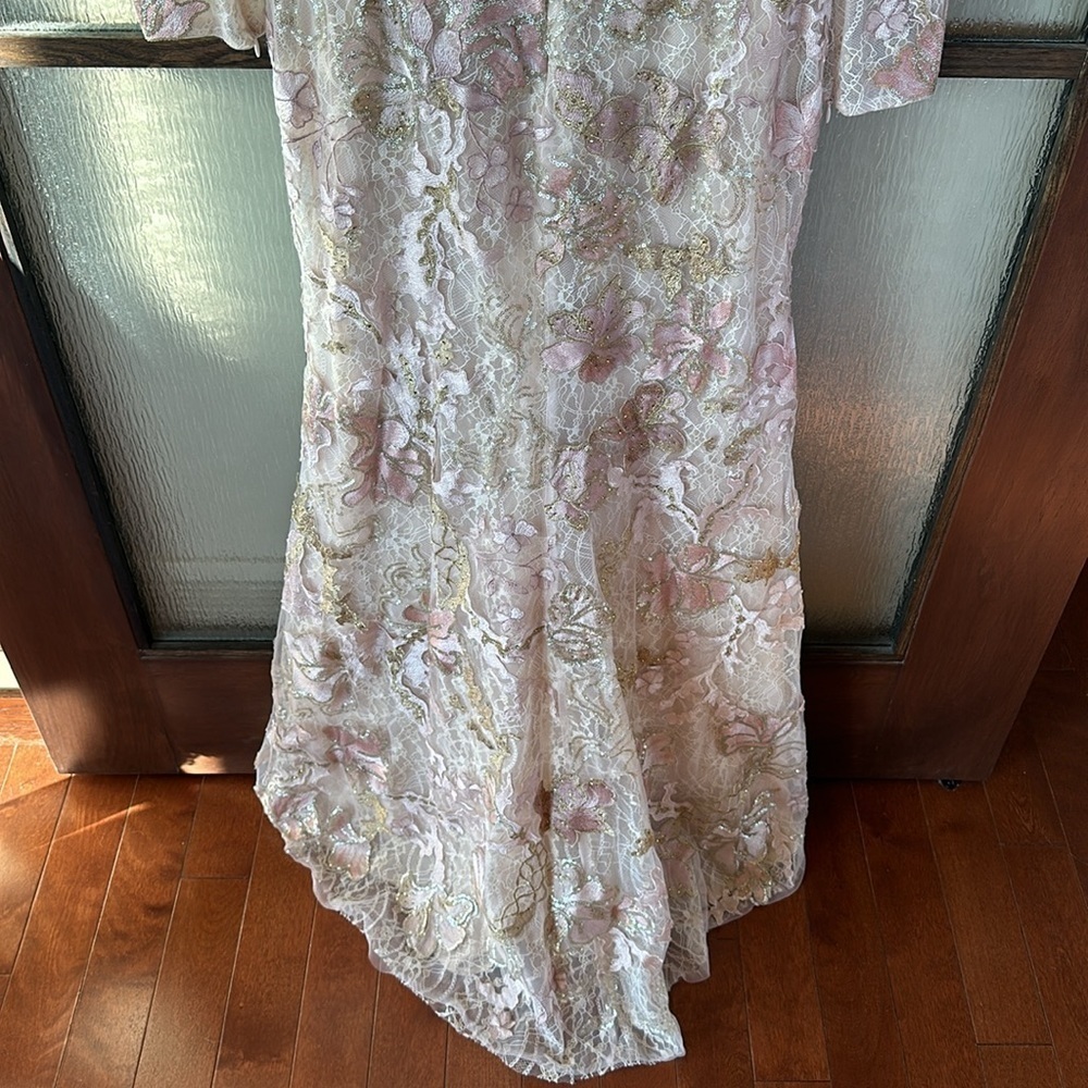 Mac Duggal Lace Embroidered Maxi Gown in Blush and Gold.  Mother of the Bride - Picture 10 of 13
